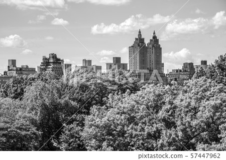 Views of Central Park from the roof top of the MET 57447962