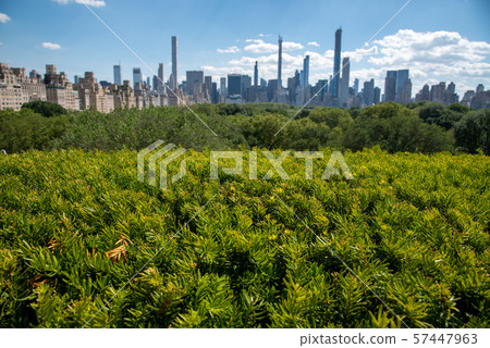 Views of Central Park from the roof top of the MET 57447963
