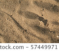 The surface of natural sand 57449971
