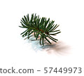 Spruce twig 57449973
