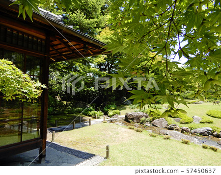 An innocent garden with beautiful greenery 57450637