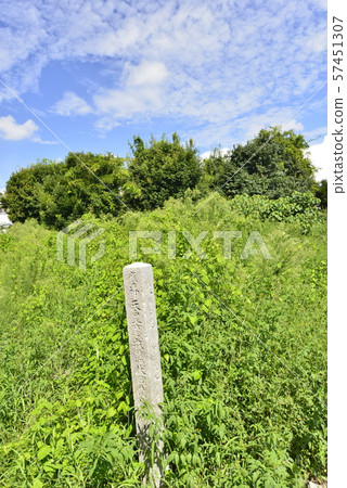 [Osaka Prefecture Habikino City] World Heritage Site, Furuichi Burial Mounds (Kurizuka Burial Mound) 57451307
