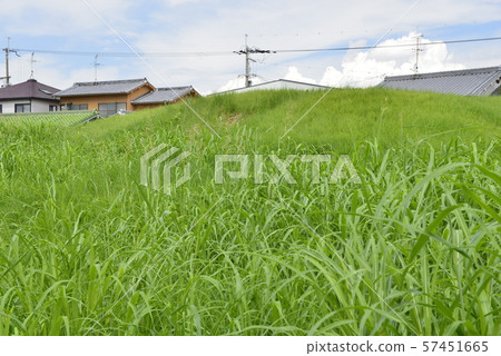 [Osaka Prefecture Fujiidera City] World Heritage Site, Furuichi Burial Mounds 57451665