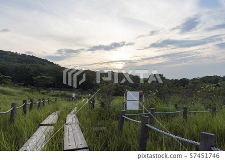 Ashimo Marshland, Toyohashi City, Aichi Prefecture Ashimo Marshland, Toyohashi City, Aichi Prefecture 57451746