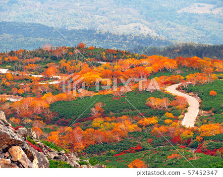 A brightly colored highland road (Norikura Highland) A brightly colored highland road (Norikura Highland) 57452347