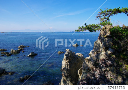 Senukimatsu(葉山鎮) Senukimatsu(葉山鎮) 57452733