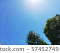 鏡頭上方的天空 57452749