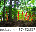 Shinto shrine torii 57452837