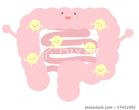 Cute good bacteria in the large intestine Cute good bacteria in the large intestine 57452992