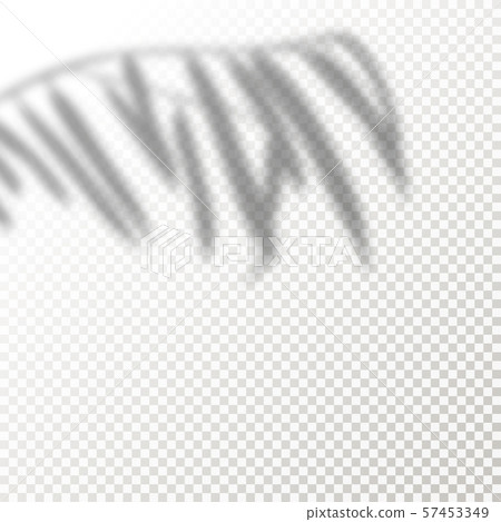 Shadow Overlay Plant Vector Mockup. The transparent Shadows overlay effects Of Leaf in a modern Shadow Overlay Plant Vector Mockup. The transparent Shadows overlay effects Of Leaf in a modern 57453349