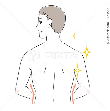 Beautiful back meat 57453398