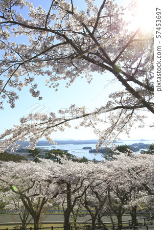<Miyagi Prefecture> Matsushima, Japan's Three Views <Miyagi Prefecture> Matsushima, Japan's Three Views 57453697