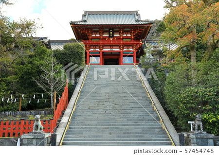 神奈川縣湘南鎌倉鶴岡八幡宮 57454748