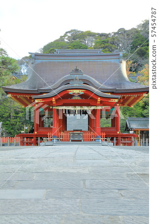 神奈川縣湘南鎌倉鶴岡八幡宮 神奈川縣湘南鎌倉鶴岡八幡宮 57454787