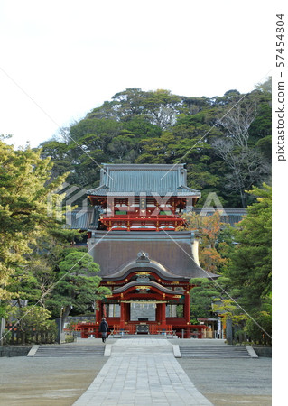 神奈川縣湘南鎌倉鶴岡八幡宮 神奈川縣湘南鎌倉鶴岡八幡宮 57454804