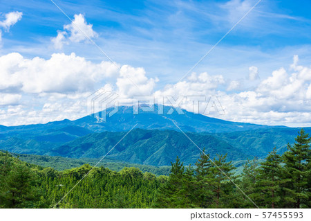 Kibio coffee 57455593