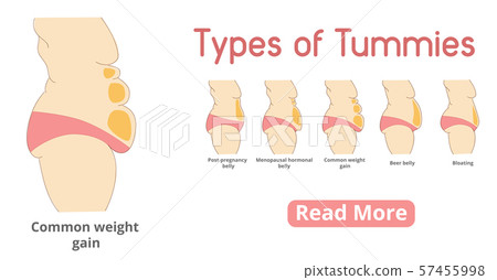 Types of female tummies banner 57455998