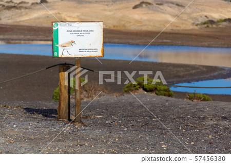 Kentish plover bird reservation sign on the coast Kentish plover bird reservation sign on the coast 57456380