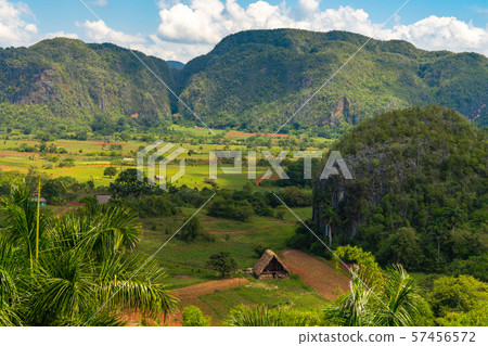 Vinales Valley site in Pinar del Rio of Cuba Vinales Valley site in Pinar del Rio of Cuba 57456572