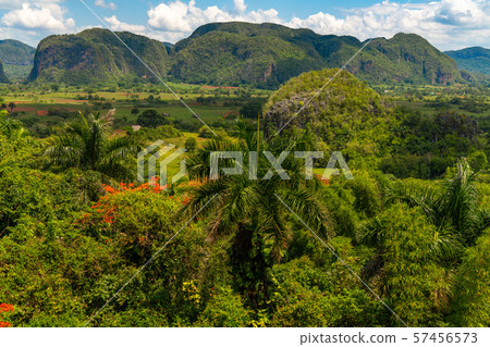 Vinales Valley site in Pinar del Rio of Cuba Vinales Valley site in Pinar del Rio of Cuba 57456573