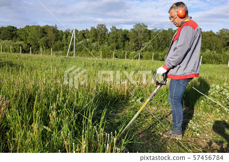 A man rows grass with an oak trimmer in the field, 57456784