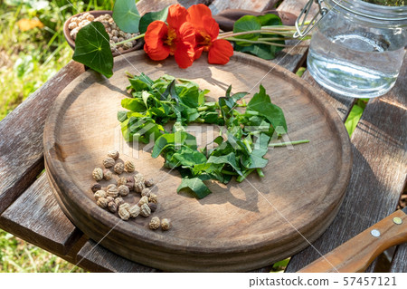 Preparation of tincture from fresh nasturtium 57457121