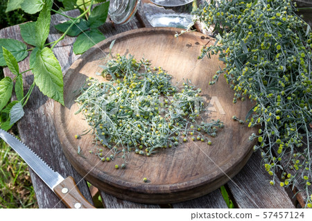 Preparation of herbal tincture with fresh wormwood 57457124