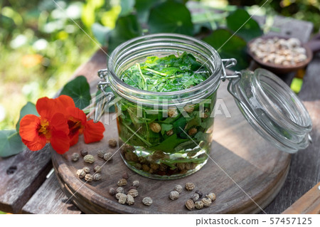 Preparation of herbal tincture from nasturtium 57457125