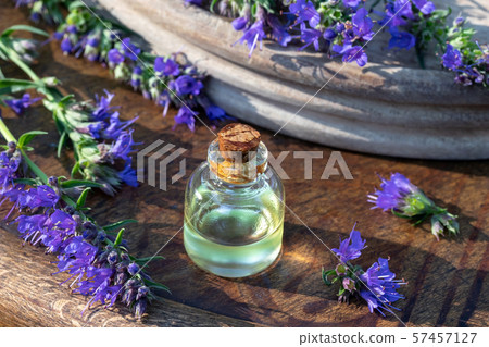 A bottle of hyssop essential oil with fresh hyssop 57457127