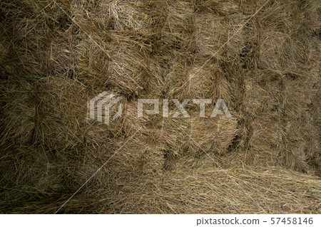 Stored hay bales wall inside barn background. Stored hay bales wall inside barn background. 57458146