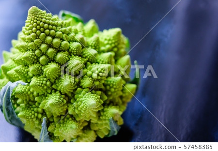 Close up view of amazing Romanesco broccoli or Roman cauliflower on wet dark blue background. Its 57458385