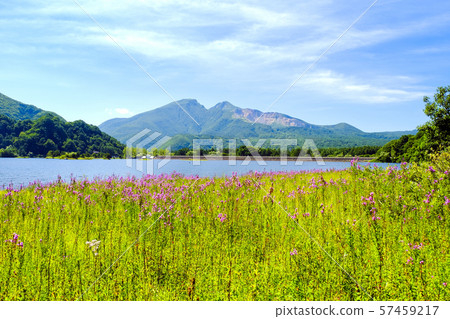 秋元湖，萬代山和Ezomisohagi 57459217