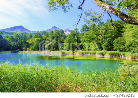 Ruri Marsh和萬代山 57459218