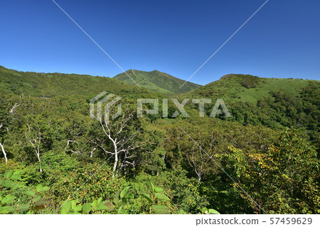 在Goshiki Onsenkyo的Kutchan線上拍攝Niseko Annupuri的照片 57459629