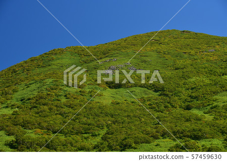 在Goshiki Onsenkyo的Kutchan線上拍攝Niseko Annupuri的照片 57459630