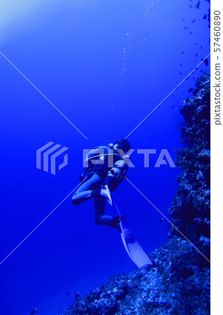 Diver looking up at the sea surface from the bottom of Shimojima in Miyakojima city 57460890