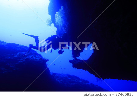 Diver swimming in the Queen's room in a submarine cave at a diving spot in Shimojijima, Miyakojima City 57460933
