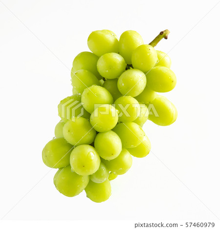 Shine Muscat 57460979