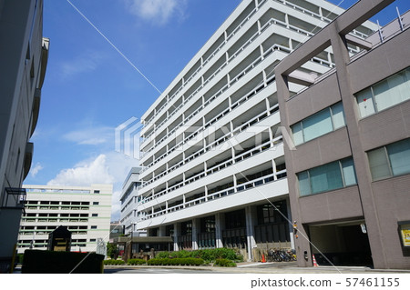 Fukui City Scenery Fukui City Hall 57461155