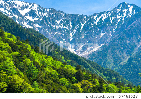 《Nagano Prefecture》Fresh green Kamikochi, Takezawa and Azusa River 57461528