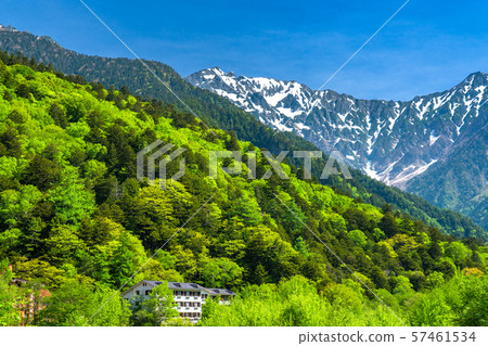 《Nagano Prefecture》Fresh green Kamikochi, Takezawa and Azusa River 57461534