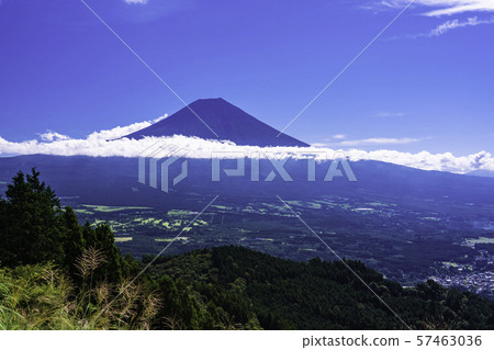 (Shizuoka Prefecture) Mt. Fuji seen from Asagiri plateau (Shizuoka Prefecture) Mt. Fuji seen from Asagiri plateau 57463036