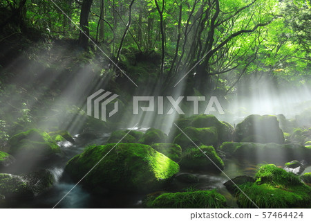 Summer former waterfall underwater water Summer former waterfall underwater water 57464424