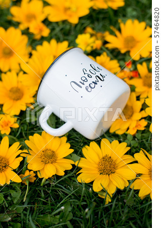 Cozy Easter, spring still life scene. Mug of coffee, wooden plate, quail eggs and vase of flowers on 57464820
