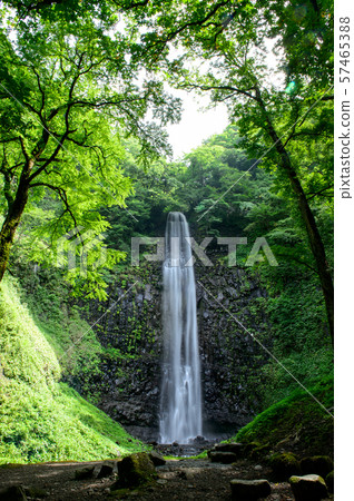 塔瑪基瀑布山形縣 57465388