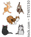 cats 57465530