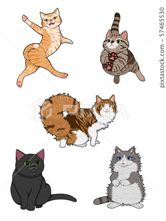 cats cats 57465530