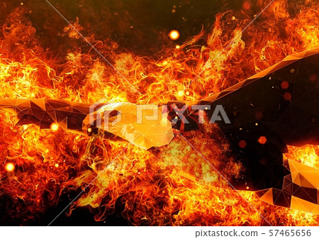 Fire bird Fire bird 57465656
