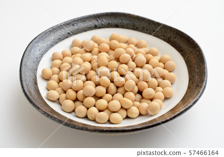 大豆 57466164