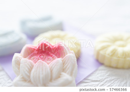 Japanese confectionery fallen goose 57466366